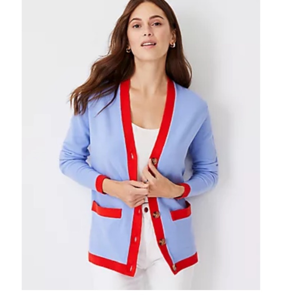 Ann Taylor sweater